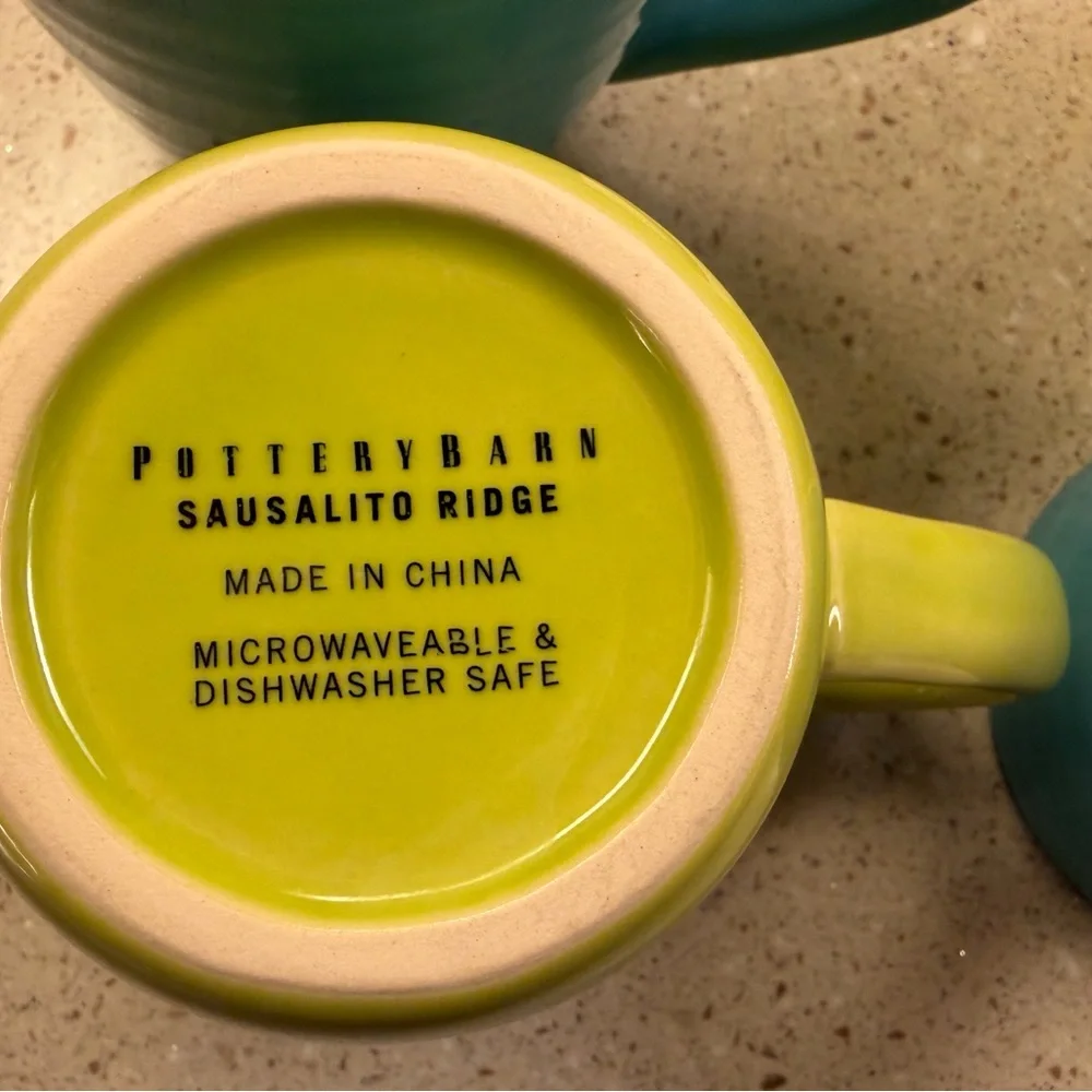 Pottery Barn Sausalito Ridge Teal and Lime Mugs